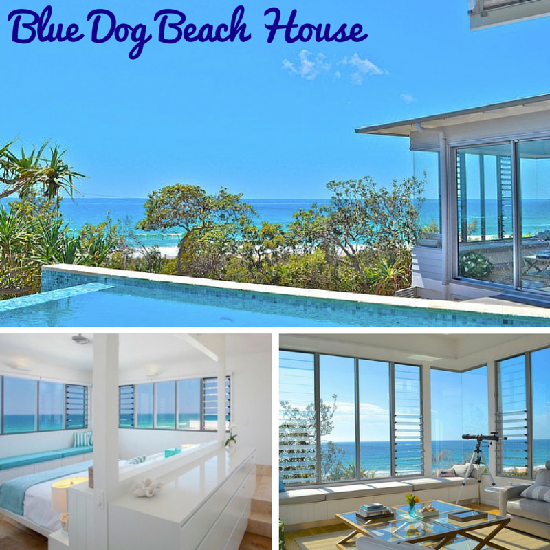 Blue Dog Beach House