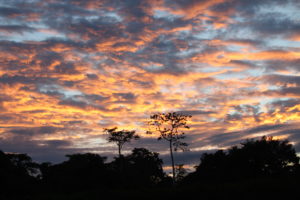 Sonnenuntergang über dem Amazonas-Dschungel