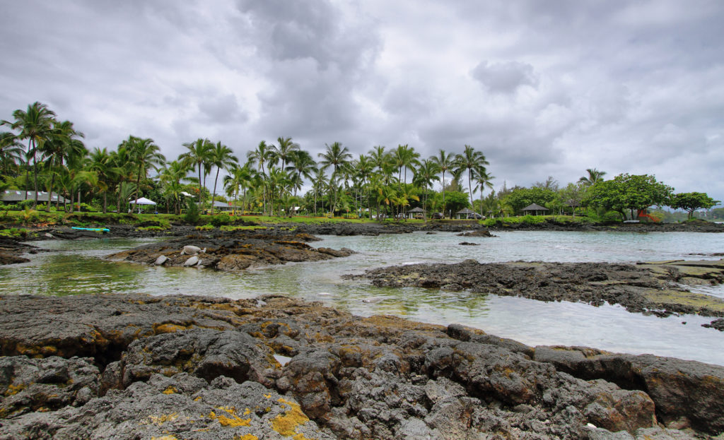Landscape with turtles in Richardon ocean park near Hilo, Big island, Hawai