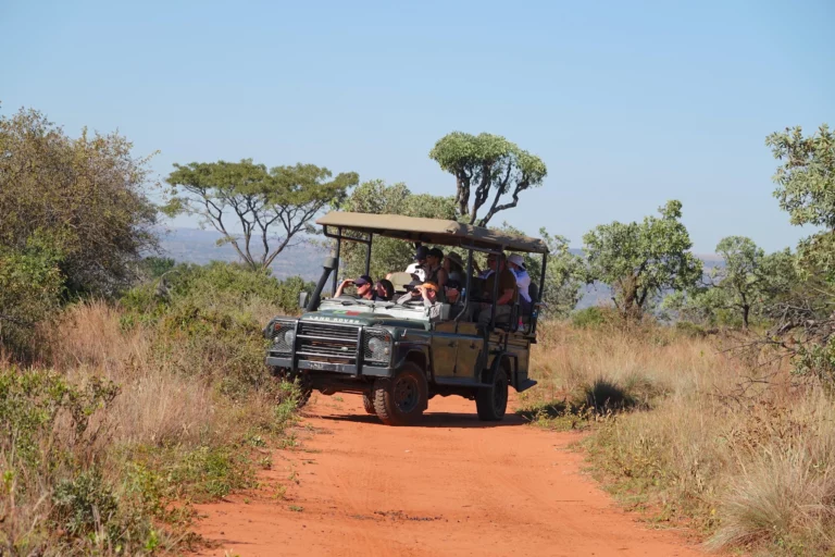 Traveler Spotlight: Mike and Sue Challenger Enjoy a South African Safari